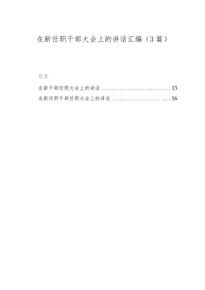 （3篇）在新任职干部大会上的讲话汇编.docx