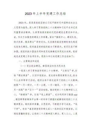 2023年上半年党建工作总结及下一步工作计划.docx