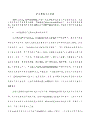 纪检整顿专题党课.docx