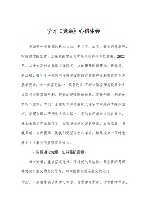 2023学习《新党章》心得体会范文四篇.docx