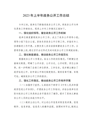 2023年上半年政务公开工作总结（20230628）.docx