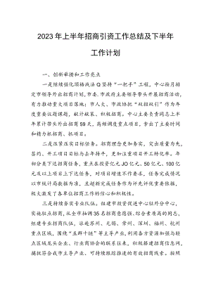 2023年上半年招商引资工作总结及下半年工作计划（20230628）.docx