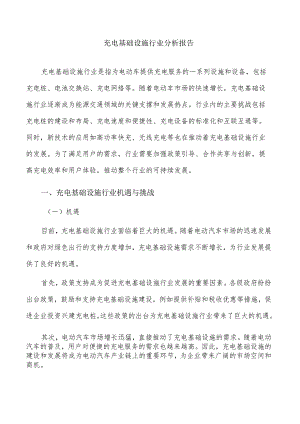 充电基础设施行业分析报告.docx