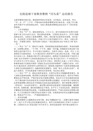 纪检监察干部教育整顿“回头看”总结报告.docx