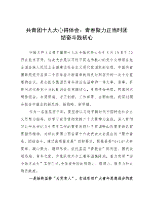 共青团十九大精神心得体会：青春聚力正当时 团结奋斗践初心.docx