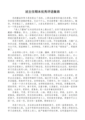 班主任期末优秀评语集锦.docx