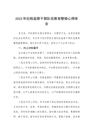 2023年纪检监察干部队伍教育整顿活动学习体会八篇.docx