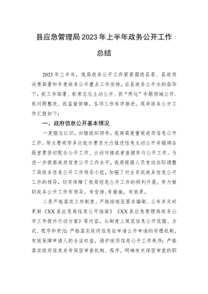 县应急管理局2023年上半年政务公开工作总结（20230630）.docx