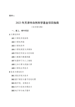 2023年天津市自然科学基金项目指南.docx
