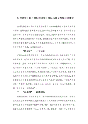 2023纪检监察干部开展纪检监察干部队伍教育整顿心得体会(精选共10篇)范文.docx