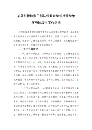 某县纪检监察干部队伍教育整顿检视整治环节阶段性工作总结.docx