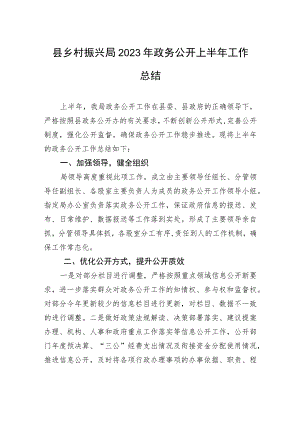 县乡村振兴局2023年政务公开上半年工作总结（20230629）.docx
