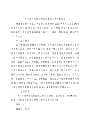 巡察反馈意见整改工作实施方案问题.docx
