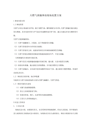 天燃气泄漏事故现场处置方案.docx