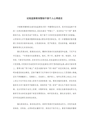 2023纪检监察教育整顿干部个人心得感言精选10篇范文.docx