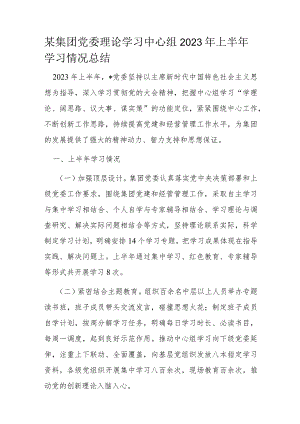 某集团党委理论学习中心组2023年上半年学习情况总结.docx