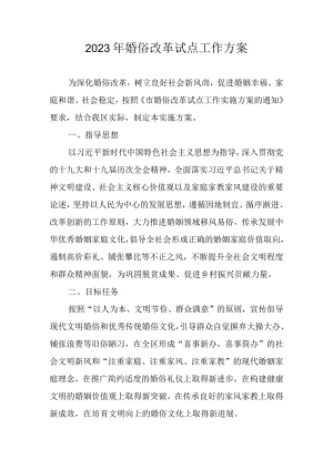 2023年婚俗改革试点工作方案.docx