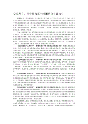 交流发言：青春聚力正当时 团结奋斗践初心.docx