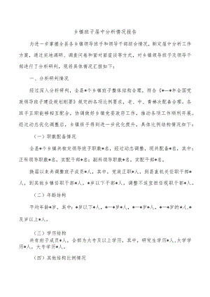 乡镇班子届中分析情况报告.docx