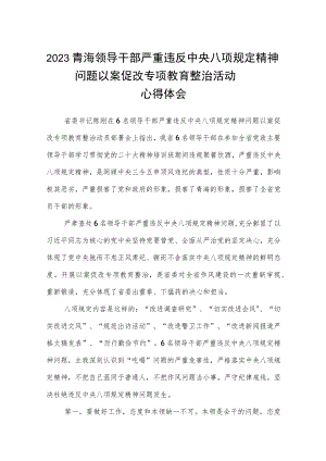2023青海领导干部严重违反中央八项规定精神问题以案促改专项教育整治活动心得体会五篇（精编版）.docx
