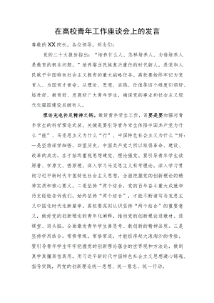 在高校青年工作座谈会上的发言.docx
