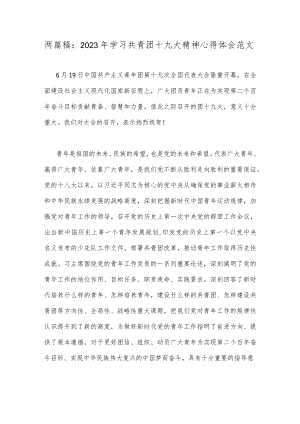两篇稿：2023年学习共青团十九大精神心得体会范文.docx