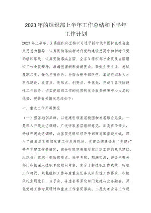 2023年的组织部上半年工作总结和下半年工作计划.docx