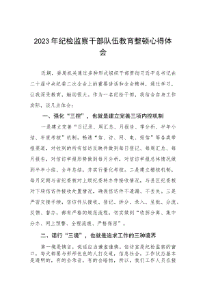 2023年纪检监察干部队伍教育整顿心得体会最新范文八篇.docx