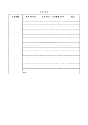 项目支出表.docx