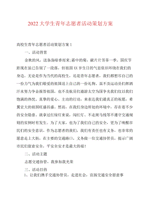 2022大学生青年志愿者活动策划方案例文.docx
