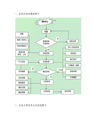 应急处置卡.docx