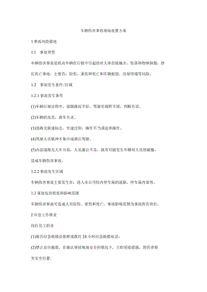 车辆伤害事故现场处置方案.docx