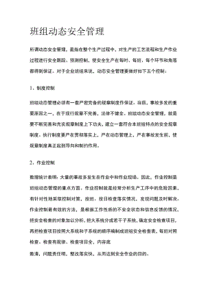 班组动态安全管理(全).docx