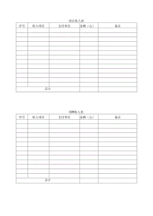 项目收入表.docx