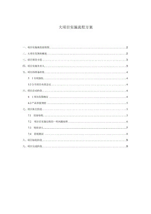 大项目实施流程.docx
