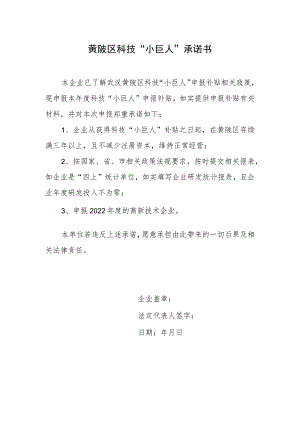 黄陂区科技“小巨人”承诺书.docx