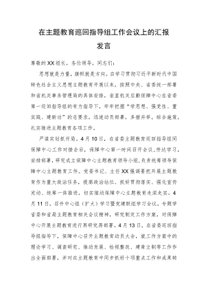 在主题教育巡回指导组工作会议上的汇报发言.docx