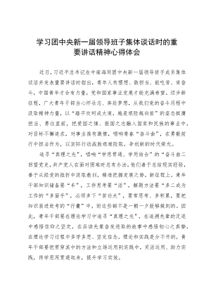 学习团中央新一届领导班子集体谈话时的重要讲话精神心得体会.docx