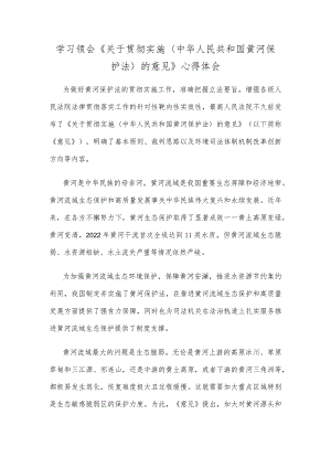学习领会《关于贯彻实施〈中华人民共和国黄河保护法〉的意见》心得体会.docx