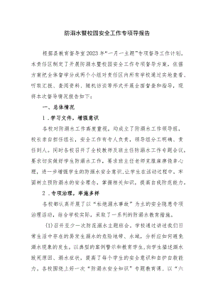 中小学防溺水暨校园安全工作专项导报告.docx