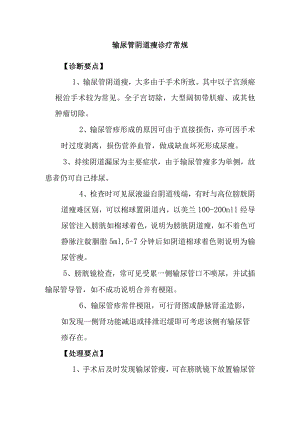 输尿管阴道瘘诊疗常规.docx