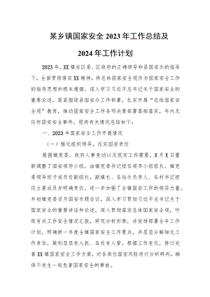 某乡镇国家安全2023年工作总结及2024年工作计划.docx