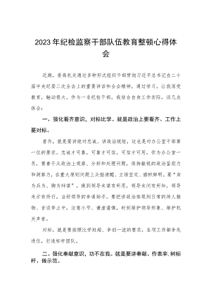 2023年全国纪检监察干部队伍教育整顿心得体会发言材料两篇.docx