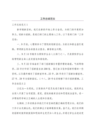 工作总结范文.docx