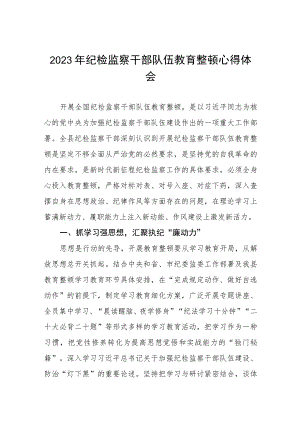 2023纪检监察干部队伍教育整顿心得体会感悟七篇范文.docx