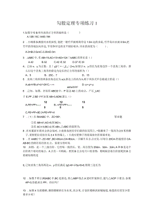勾股定理专项练习测试题.docx