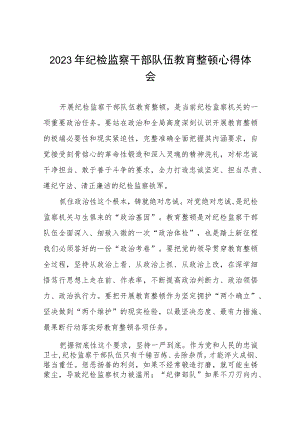 2023全国纪检监察干部队伍教育整顿心得体会8八篇.docx