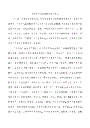 县委办作风能力提升经验亮点.docx