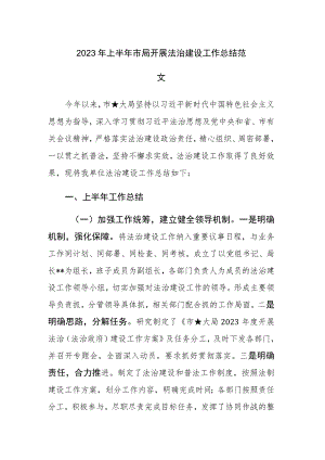 2023年上半年市局开展法治建设工作总结范文.docx