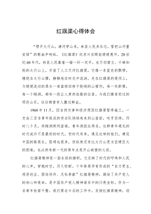 走进红旗渠心得体会八篇.docx